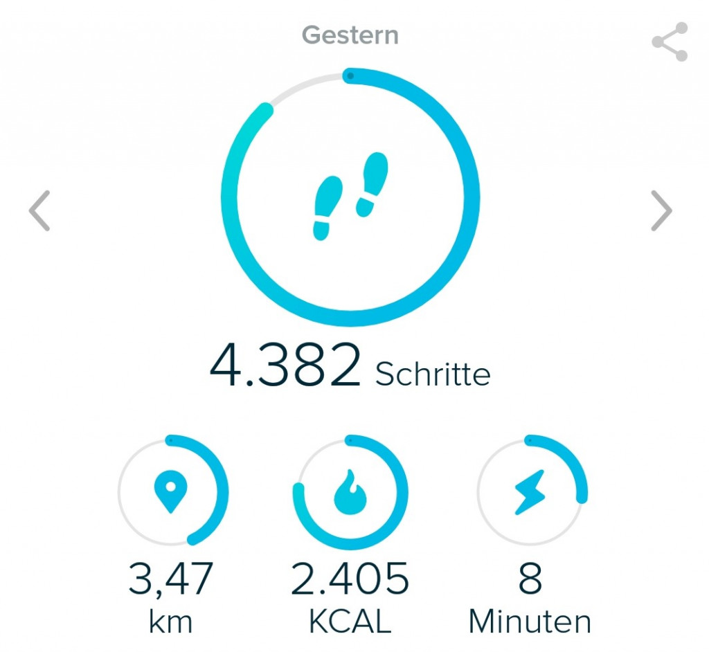 Screen Fitbit App bearbeitet Basisifunktionen